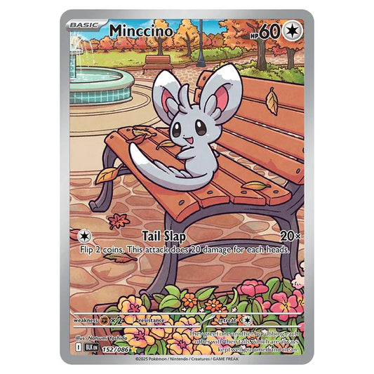 Pokemon TCG Minccino 152/086 Black Bolt